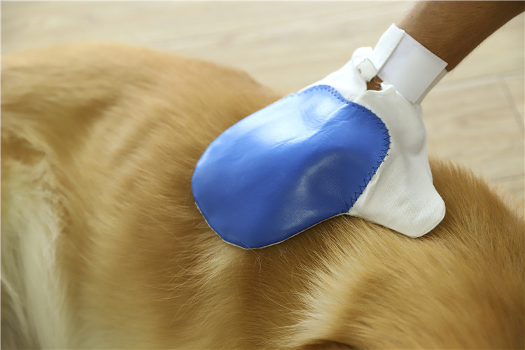 Worth Buying Massage Cleaning Hair Dog Grooming Glove