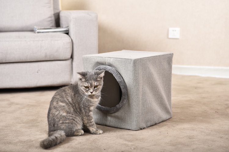 Petstar Factory Cozy Cat Hideaway Cube Condo House