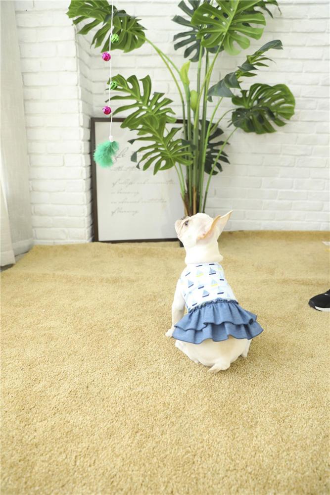 Long Lasting New Summer Dog Dress For Small Dog
