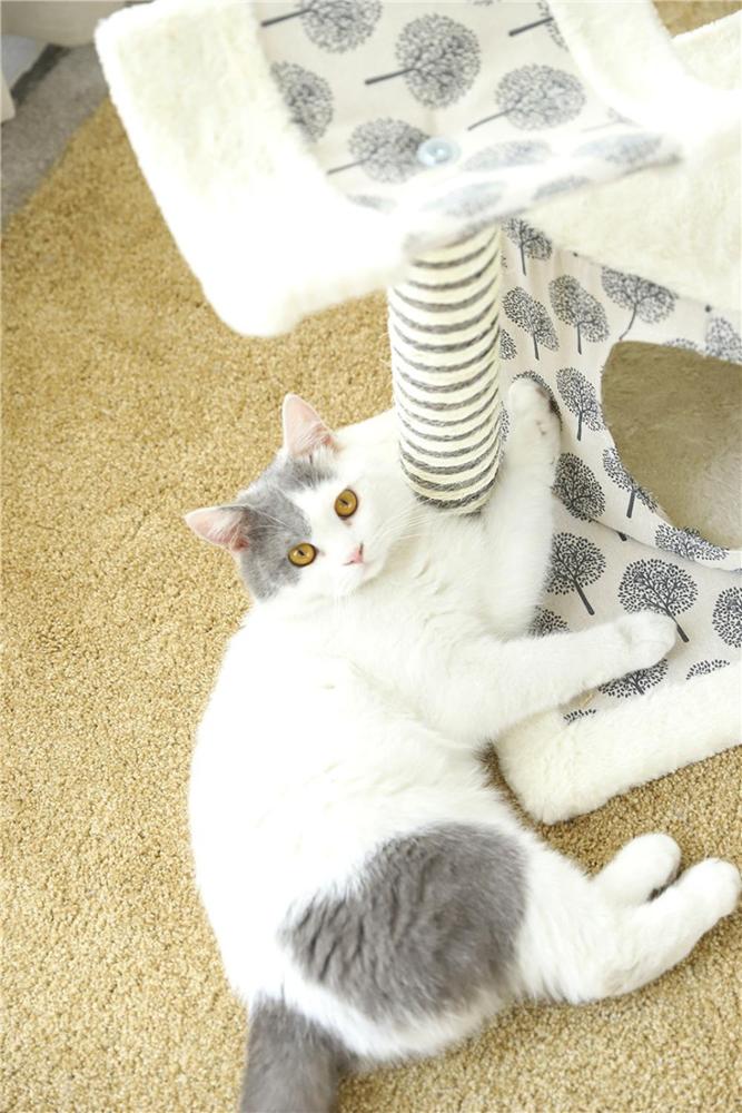 Fashion Design Sisal Cat Tree With Scratcher Board