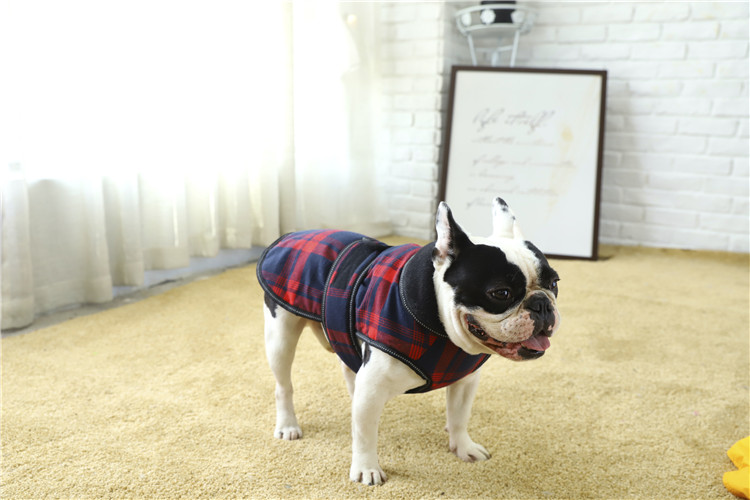 Unique pet products wholesale sport dog clothes luxury