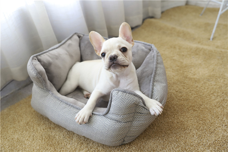 Wholesale Pet Supplies Luxury Washable Plush Sofa Dog Bed