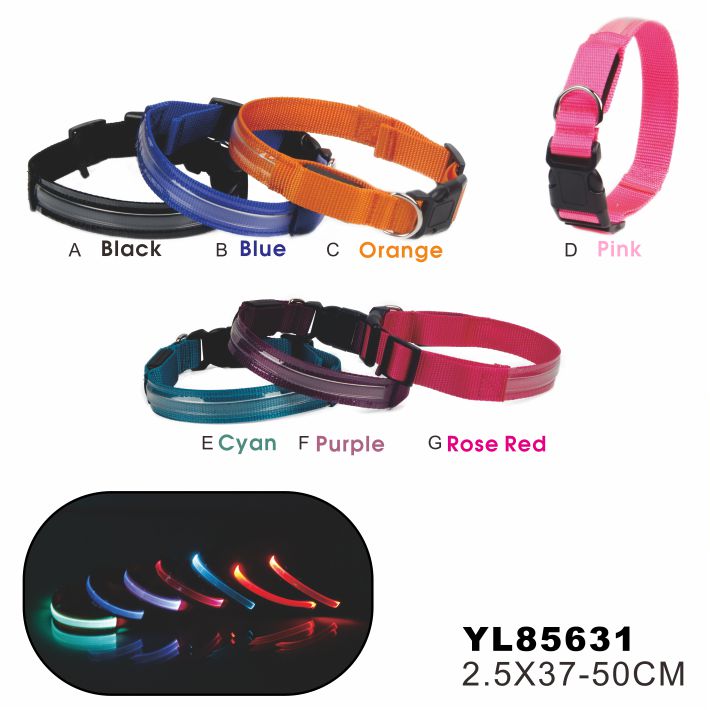 Oem Custom Personalized Logo Orange Adjustable Nylon Pet Led Dog Collar