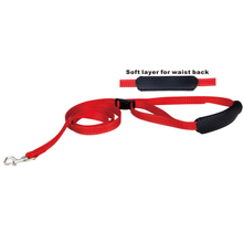 Nylon Wholesale Hands Free Running Jogging Dog Leash