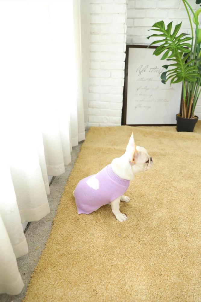 New Winter Hand Knitted Organic Fashion Purple Dog Sweater