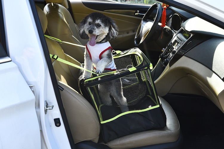 Petstar Easy Carry Car Front-seat Dog Carrier