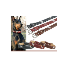 Eco-Friendly Luxury Pu Leather Dog Collar