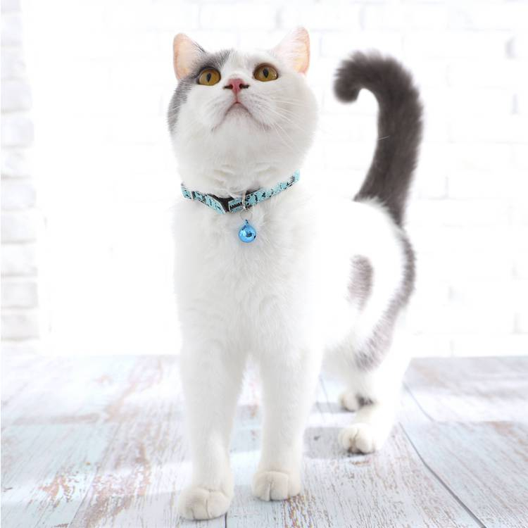 Breakaway Safety Durable Comfortable Soft PU Leather Cat Collar With Bell