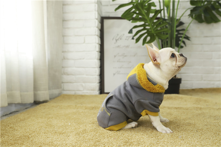 Hot Sale Custom Pet Winter Dog Coats