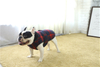 Unique pet products wholesale sport dog clothes luxury