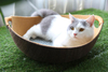 New Supplier Comfortable Breathable Felt Pet Cat Bed Without Cover