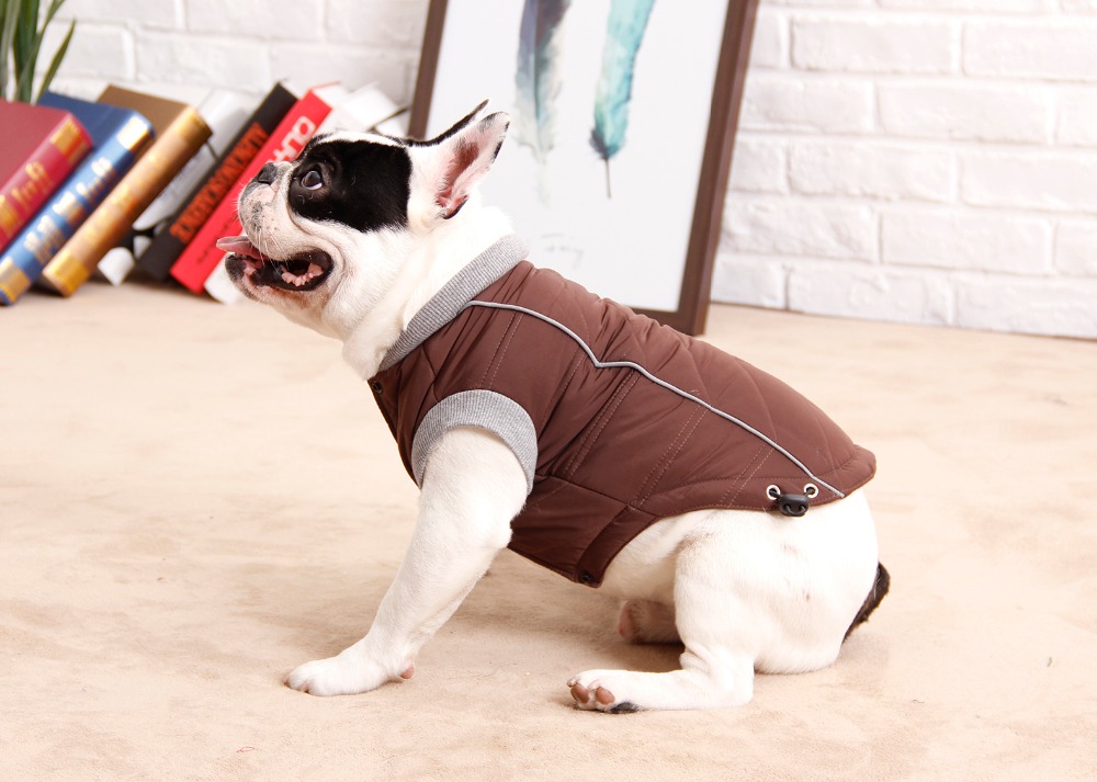 Pet Star Polyester Winter Dog Jacket