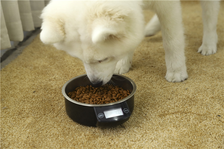 Digital Weighing Automatic Thermal Pet Smart Dog Cat Feeding Food Bowl