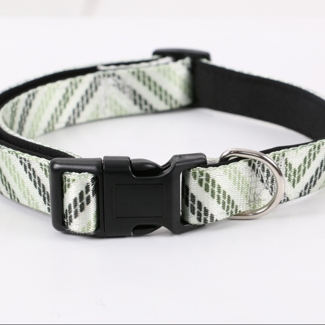 classic factory walking dog collar with high quality nylon collar for dog in fashion design