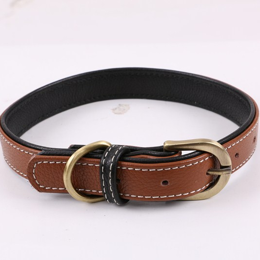 Thick durable padded leather dog collar with metal buckles