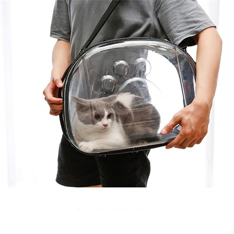 Large Capacity Small Puppy Kitty Pet Carrier Bag, Pet Travel Portable Breathable Holes Transparent Handbag
