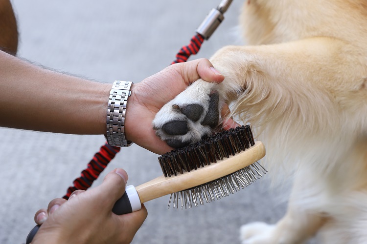 Wooden TPR Double-side Brush Pet Grooming Brush