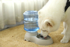 High Quality Drink Food Pet Pp Dog Bowl With Drinking Fountain