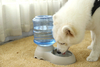 High Quality Drink Food Pet Pp Dog Bowl With Drinking Fountain