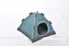 Light Weight Foldable Proable Waterproof Indoor Outdoor Oxford Dog Tent