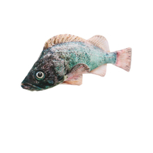 Eco-friendly Soft Fun Cat Fish Toy with PP Fiber Polyester
