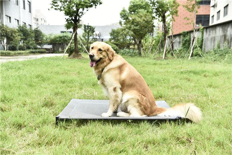 Outdoor Orthopedic Raised Chewproof Dog Bed