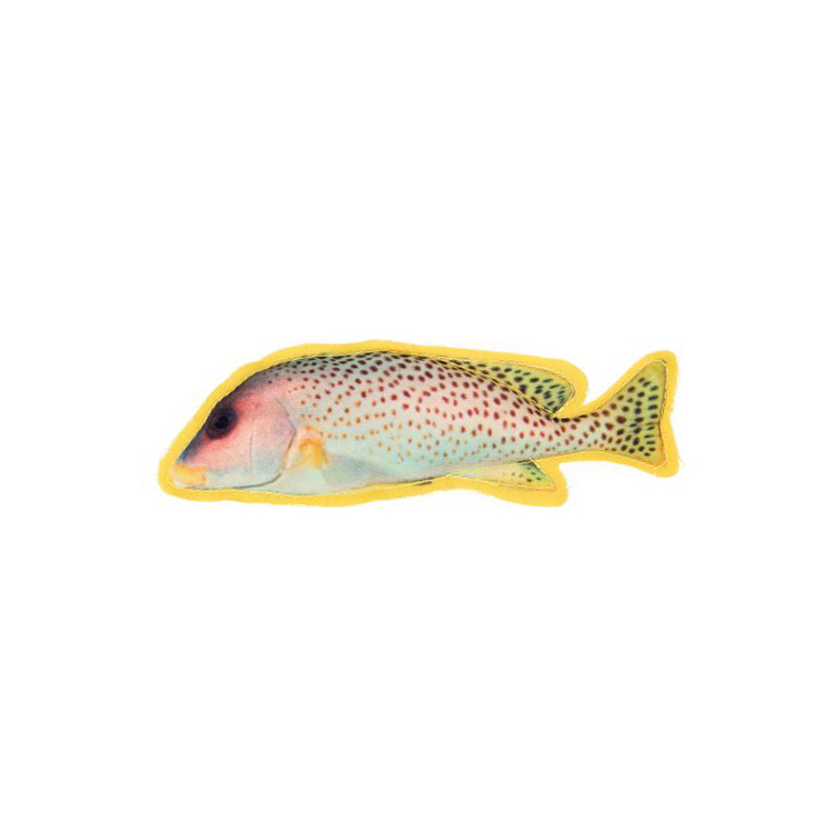 Eco-Friendly Funny Pet Toy Polyester 3D Printing Fish Cat Toy