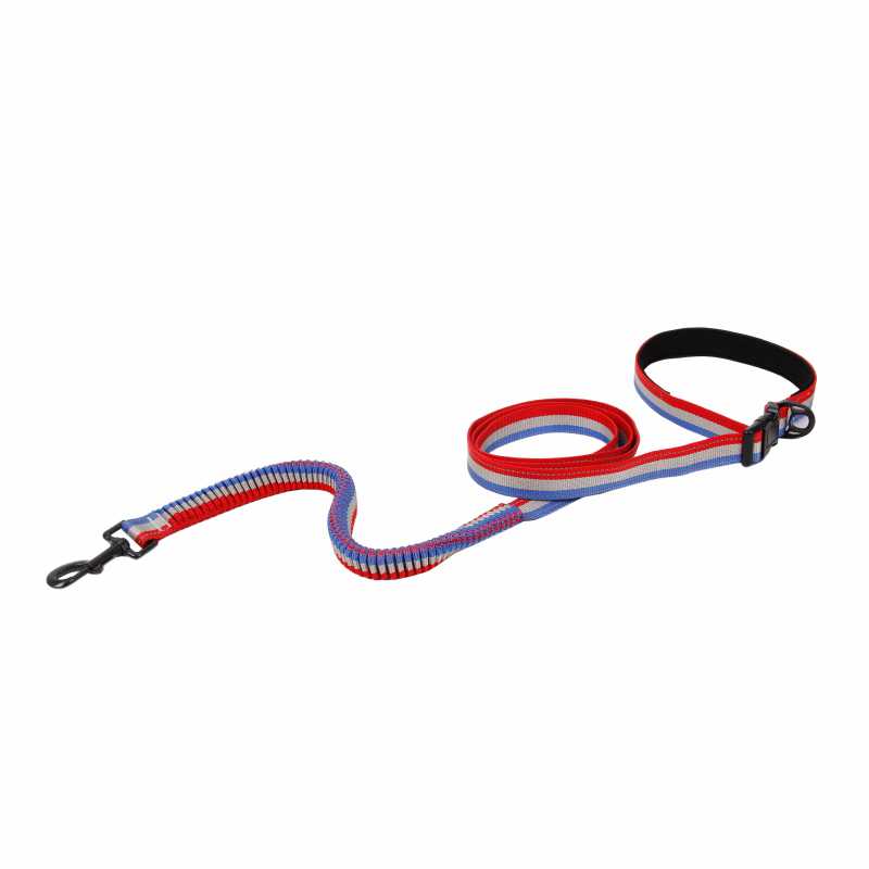 China Pet Supplies Nylon Durable And Shock Absorbing Small Dog Leash
