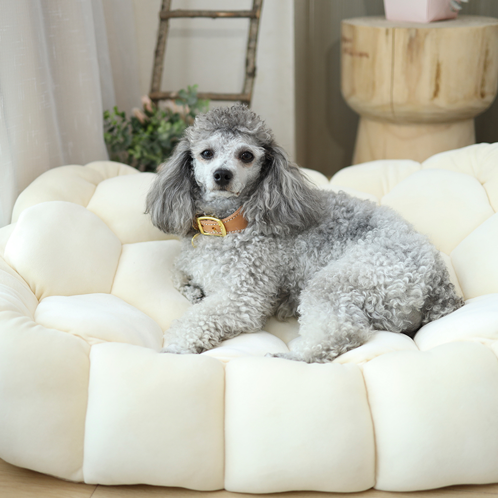 Donut Rectangle Luxury Washable Dog Bed