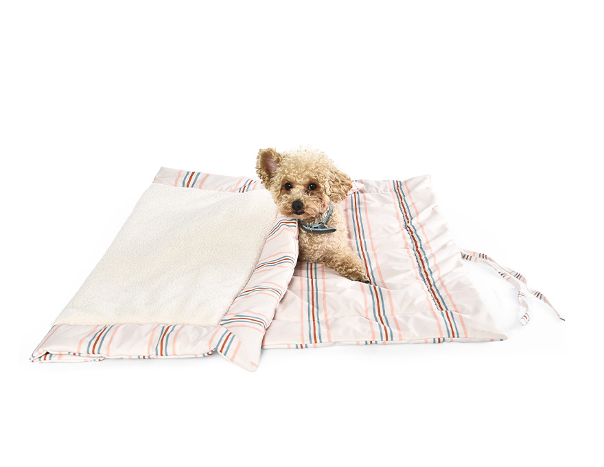 Eco Portable Dog BIanket
