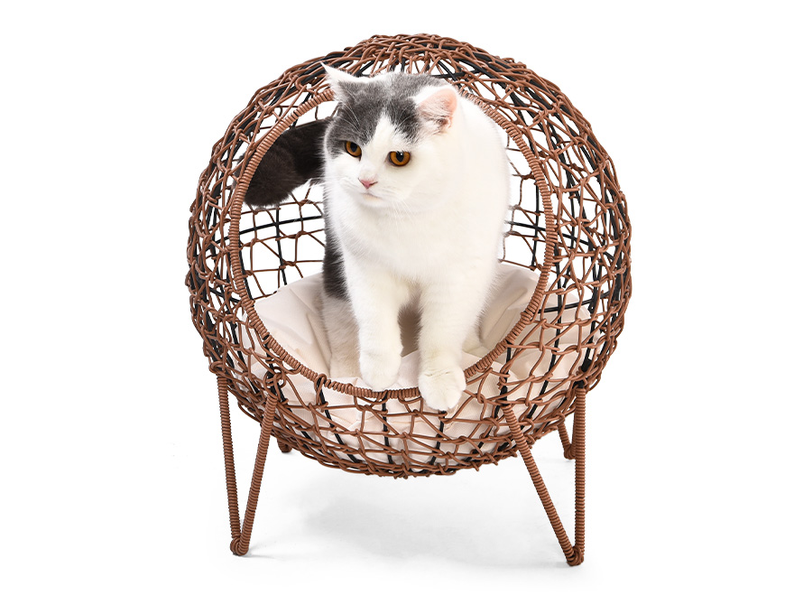 PP Rattan Pet House