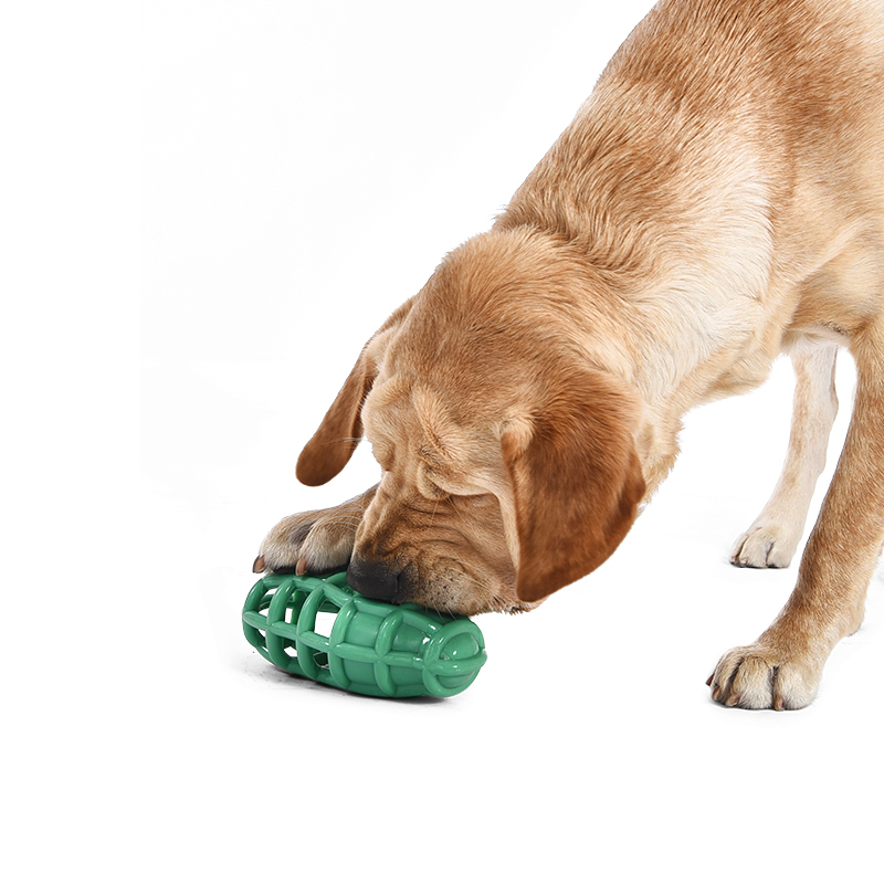 Summer Series Food Grade Materials Non-toxic TPR Dog Chew Toy