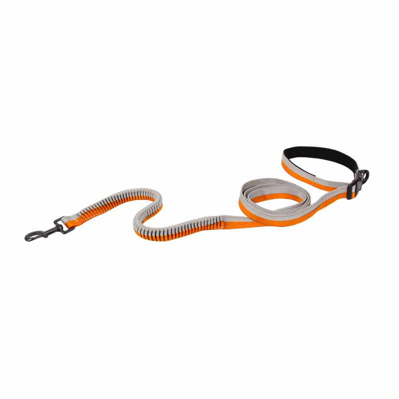 China Pet Supplies Nylon Durable And Shock Absorbing Small Dog Leash