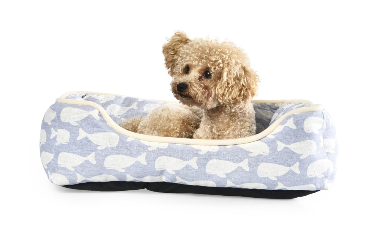 Essential Guide for Pet Business Owners Understanding the Different