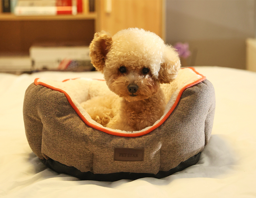 Waterproof Pet Bed