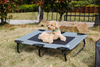 Foldable Portable Elevated Outdoor Dog Bed