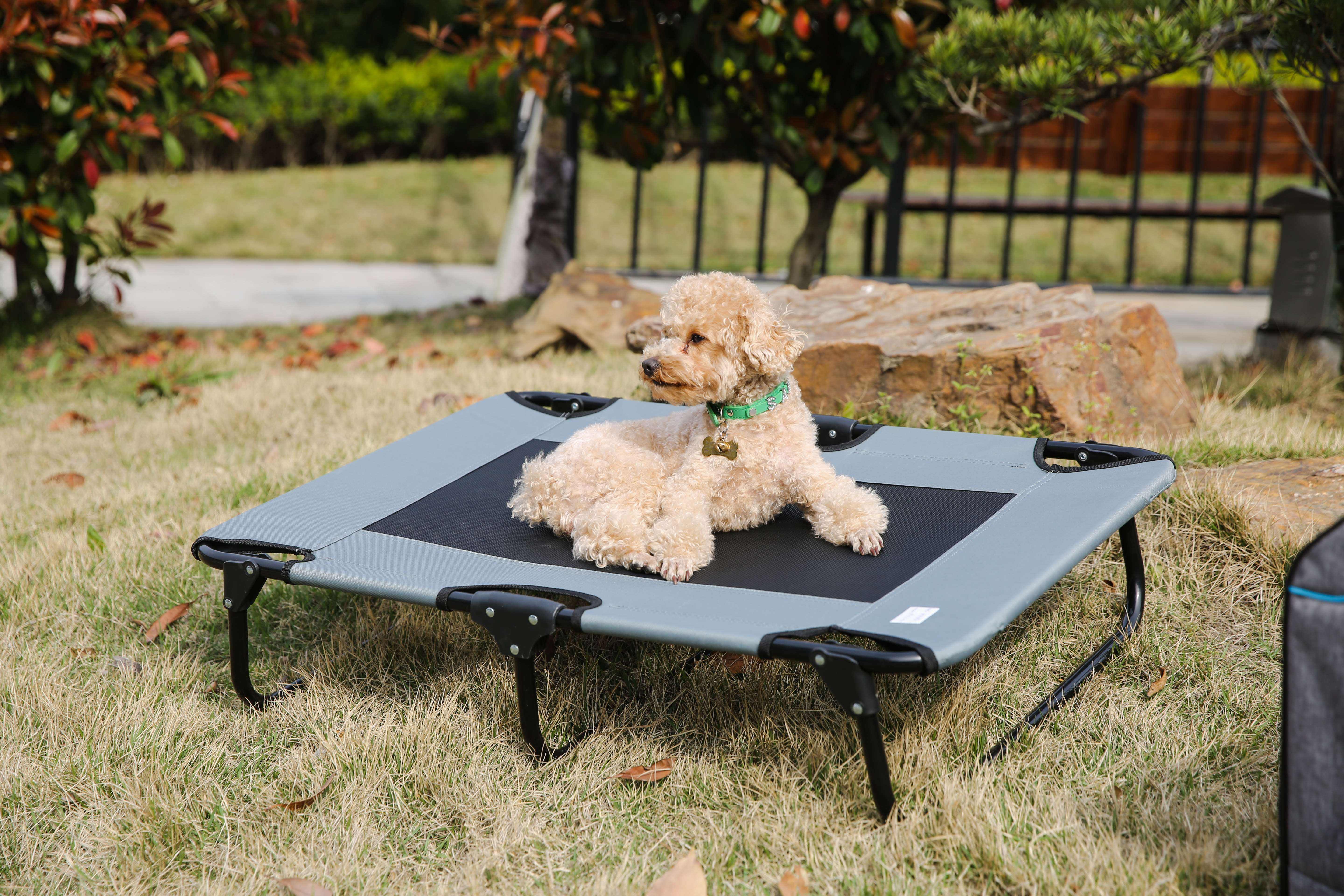 Foldable Portable Elevated Outdoor Dog Bed