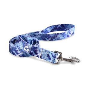 Eco-friendly Series Vibrant And Bold Eco Recycle Material Dog Leash 