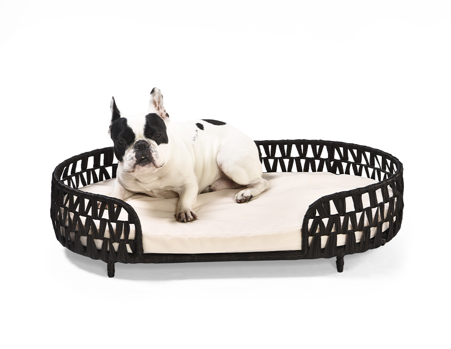 Rattan Pet Bed Raised Small Animal Indoor & Outdoor