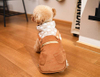 Heated Dog Coat