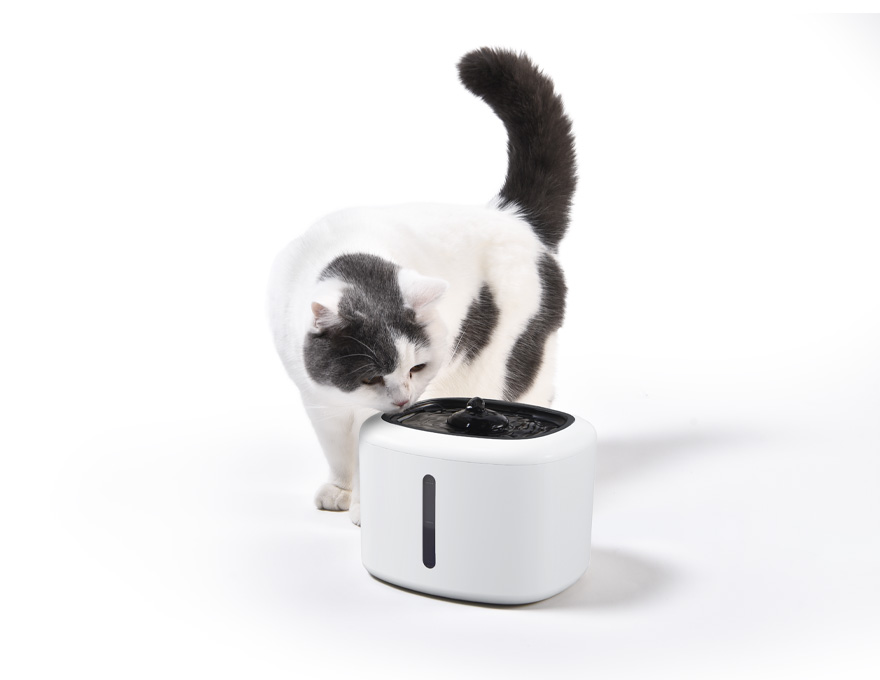 Automatic Pet Water Fountain