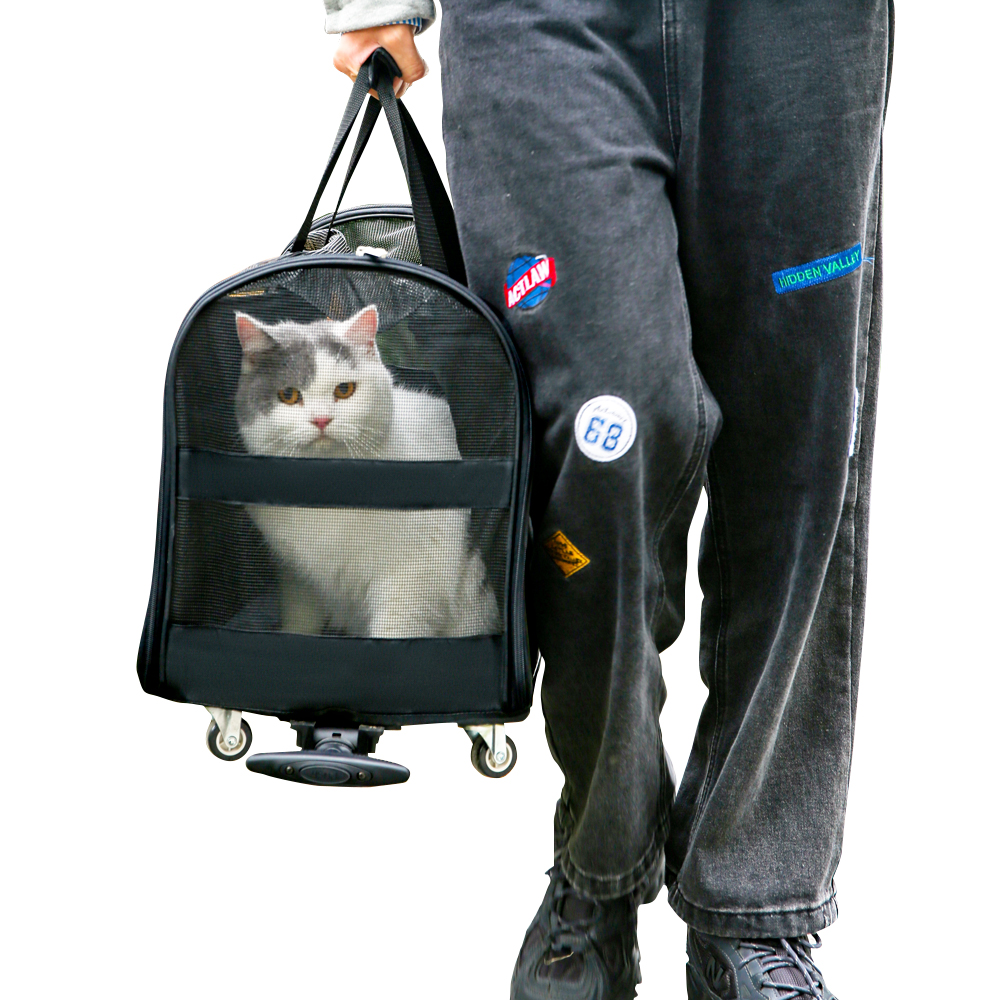 wholesale Folding Travel pet carrier bag with wheels and handle