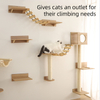 Petstar New Design Wood Cat Play Climbing Activity Center Furniture Wall Mounted Cat Tree Shelves Climb Set