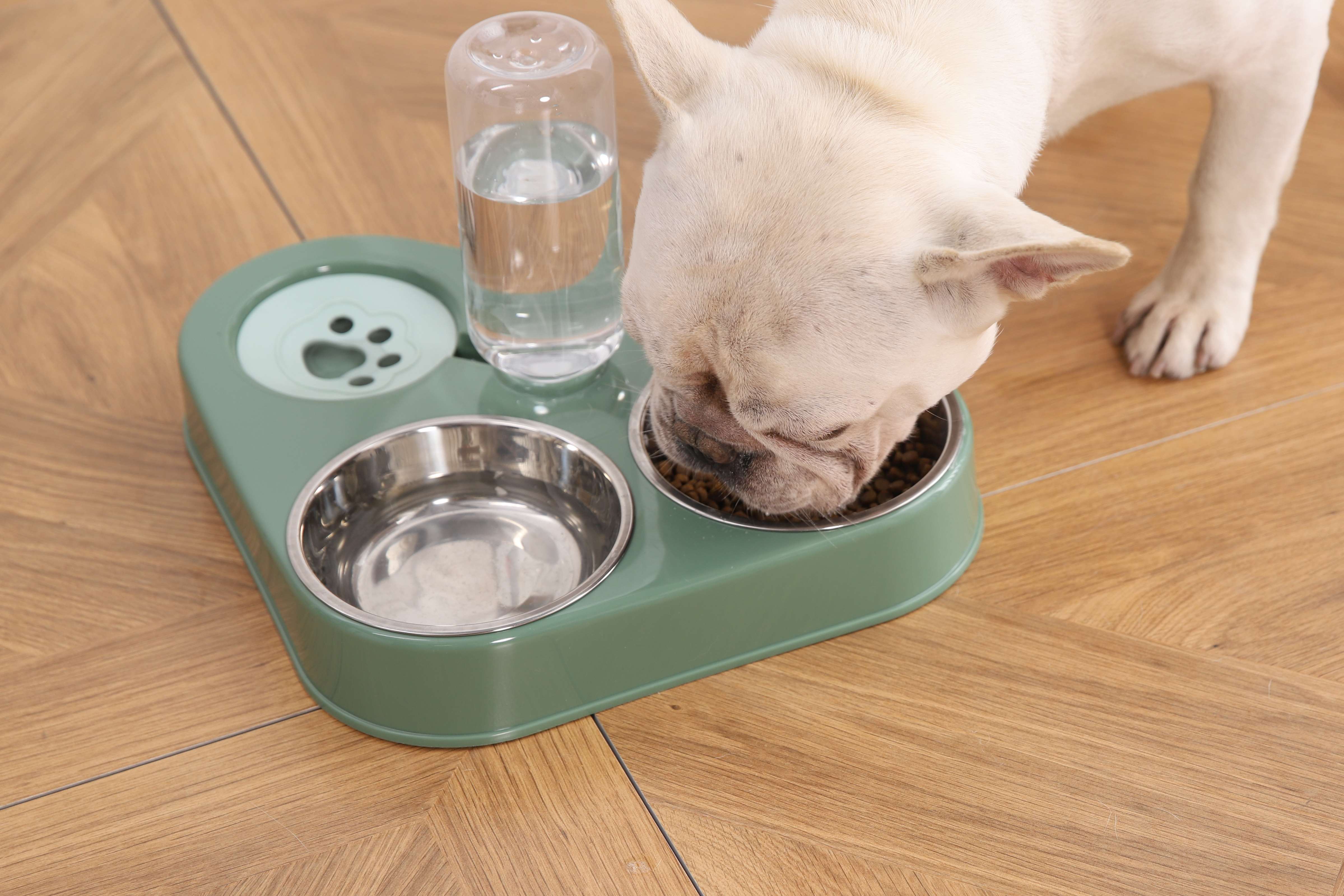 Spill Proof Dog Water Bowl Stainless Stell Double Food Bowl Dog Feeder
