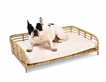 New Design Morden Style Artificial Rattan Pet Furniture