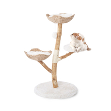 Wholesale Cat Trees Made with Real Wood