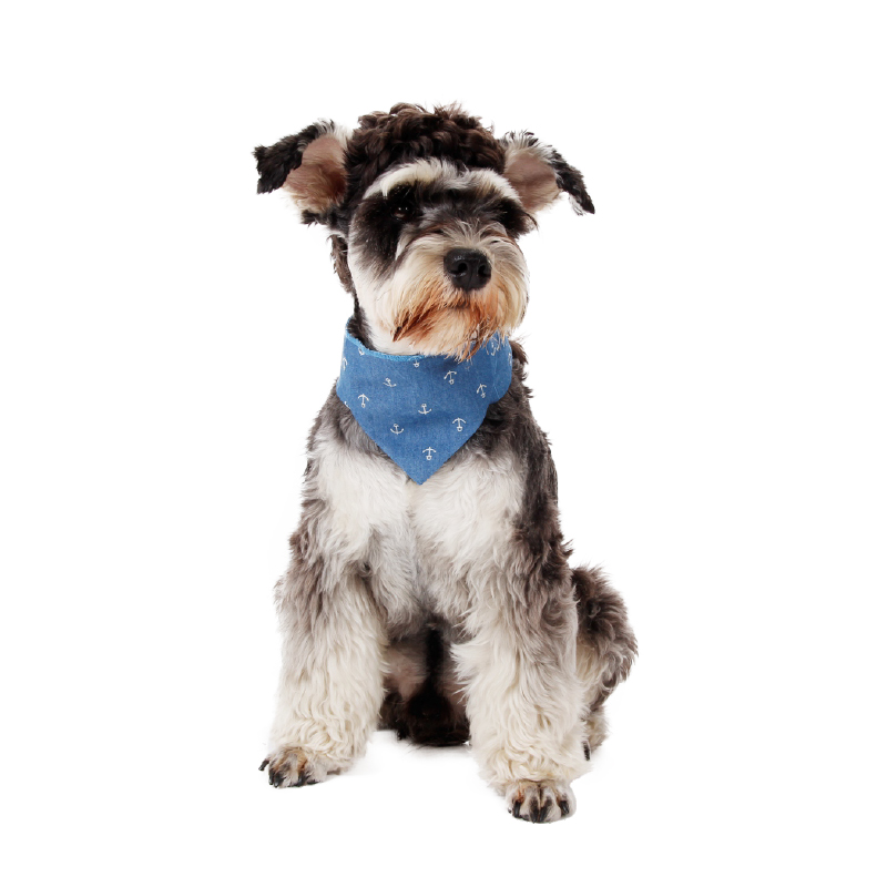 Summer Series High Absorbent Polymer Cooling Pet Bandana