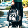 3 Ways To Use Pet Carrier Backpack For Travel