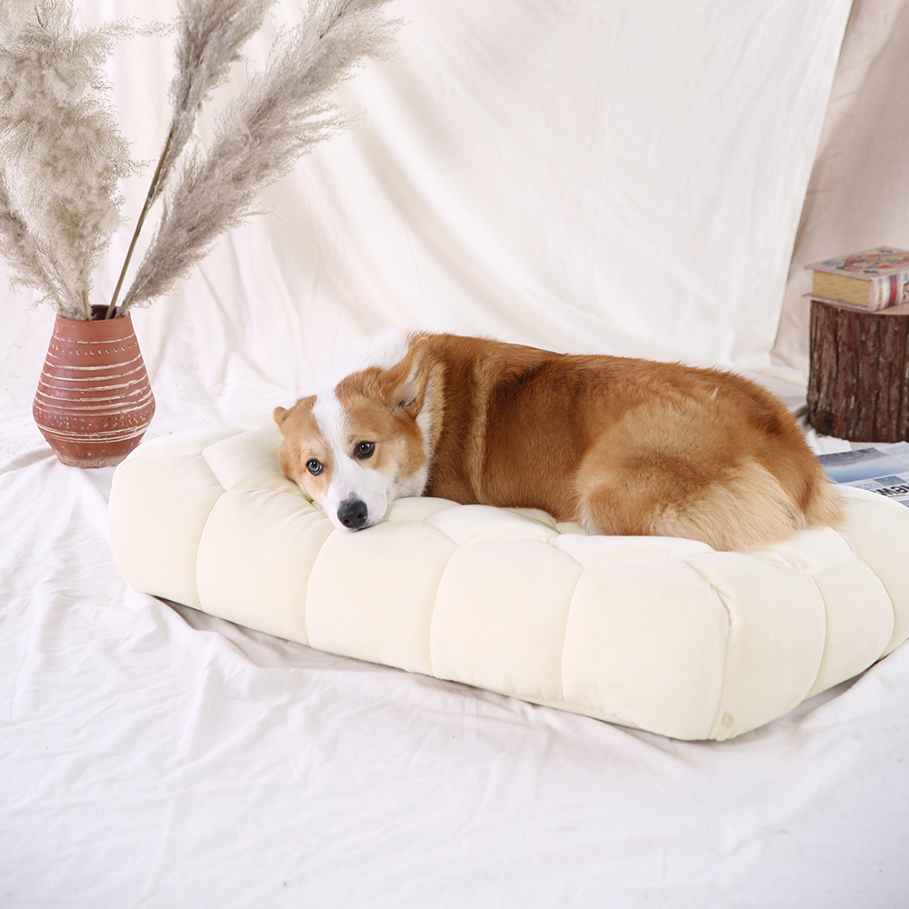 Donut Rectangle Luxury Washable Dog Bed