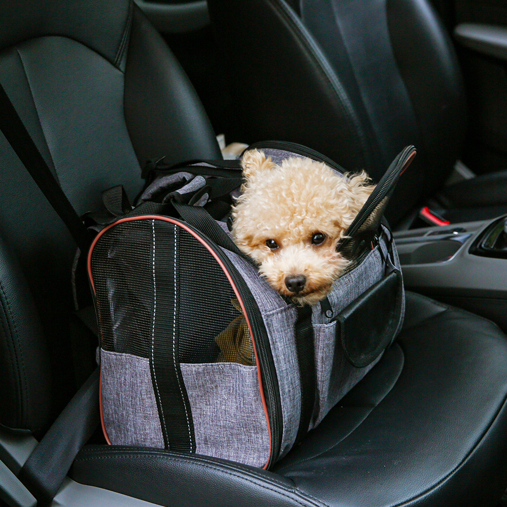 3 Ways To Use Pet Carrier Backpack For Travel